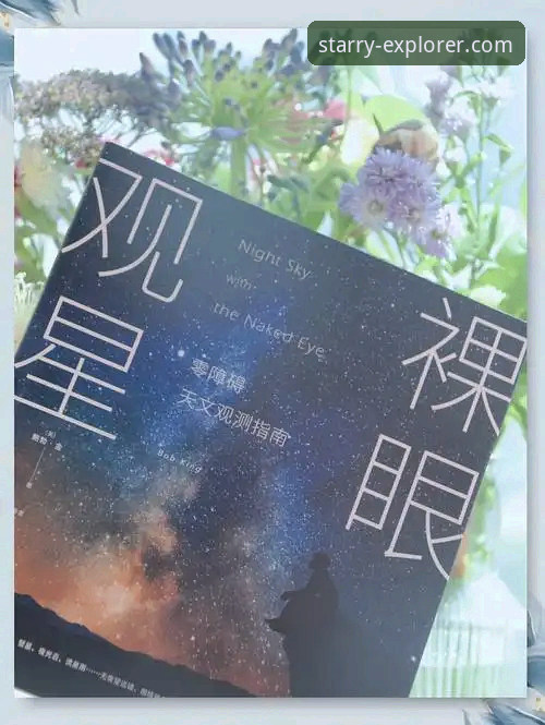 星空娱乐平台用户评价全面解析：从新手到高手的真实体验